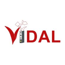 Vidal Logo